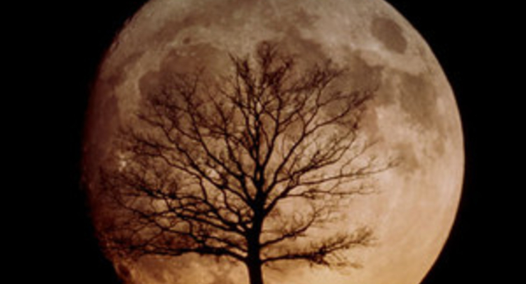 NASA хочет построить город на Луне к 2020 году