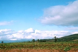 Украина пока не готова к отмене моратория на продажу земли