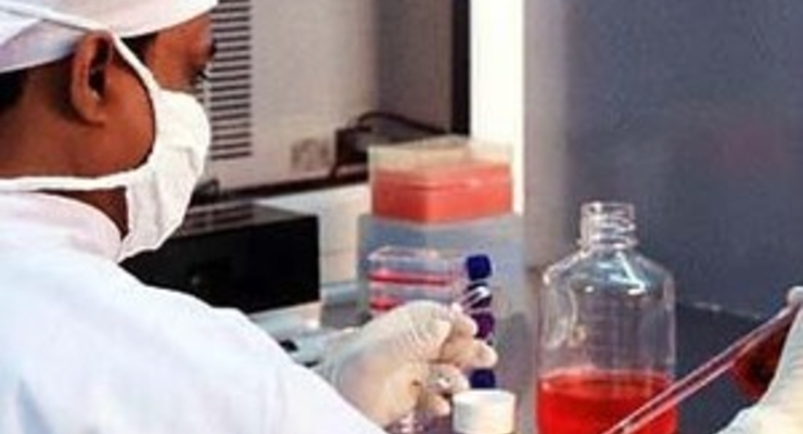 Застройка Кловского холма грозит Киеву эпидемией сибирской язвы