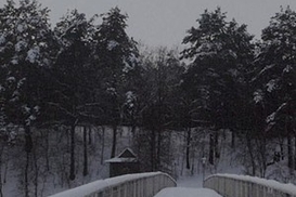 Черновецкий наторговал за свои фотографии 1,5 млн. гривен