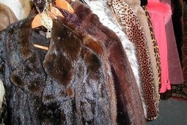 В Британии натуральный мех продавали под видом исскуственного