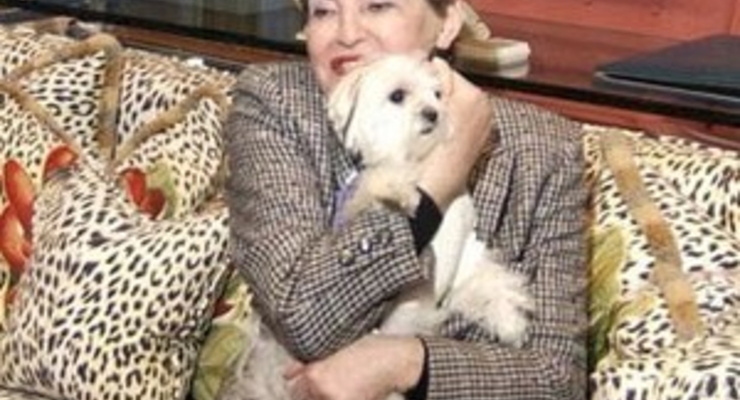 Болонка, унаследовавшая миллионы, скрывается