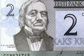 Эстонцы в панике скупают евро. В стране расползаются слухи о возможной девальвации кроны