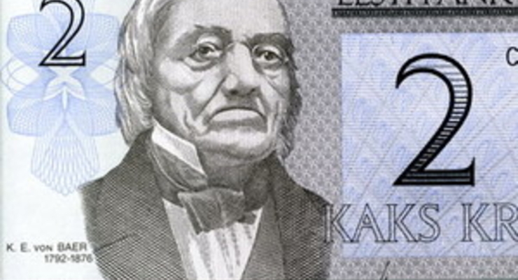 Эстонцы в панике скупают евро. В стране расползаются слухи о возможной девальвации кроны