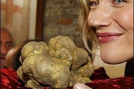 Дорогой ужин: китайские магнаты купили на совместный ужин белый трюфель за $209 тыс.