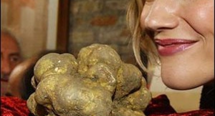 Дорогой ужин: китайские магнаты купили на совместный ужин белый трюфель за $209 тыс.