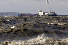 Мазут добрался до Тузлы и готовит сюрприз крымским курортникам