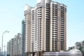 Жертвы очередной строительной аферы пикетируют Секретариат Президента