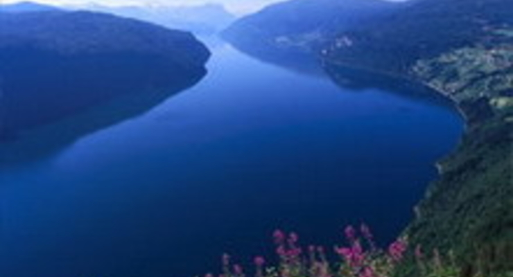 Составлен рейтинг богатых стран, которые больше остальных тратятся на экологию