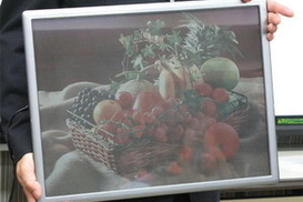 Японцы создали уникальную электронную бумагу (фото)