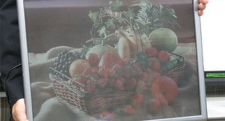 Японцы создали уникальную электронную бумагу (фото)