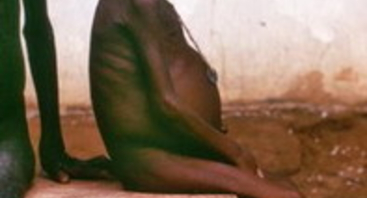 В мире изобилия и достатка 854 млн. человек голодает – ООН