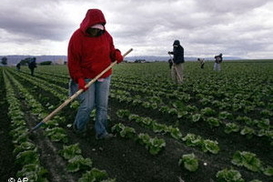 Жители западных областей стали реже ездить на заработки