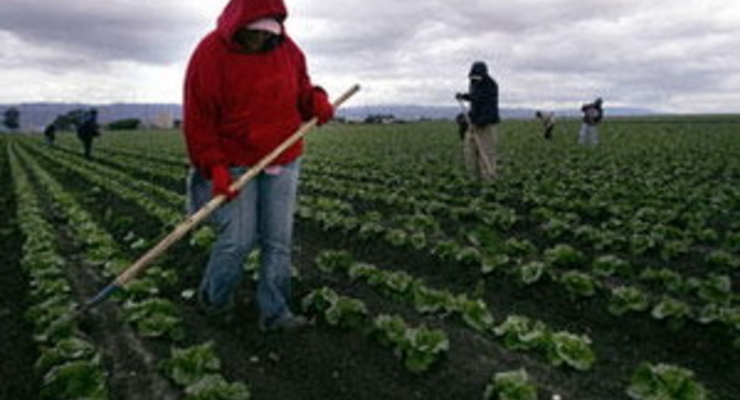 Жители западных областей стали реже ездить на заработки