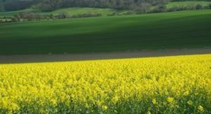 Украина намерена увеличить производство биодизеля