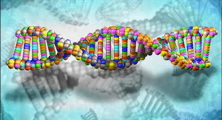 Франция будет проверять ДНК у родственников иммигрантов