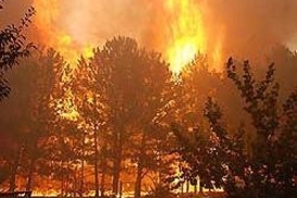 Около Алупки - сильный пожар