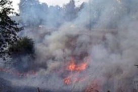 Российский курорт  Геленджик в огне