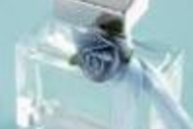 В России ограничили провоз жидкости в самолетах