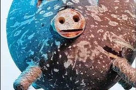 Цифры недели