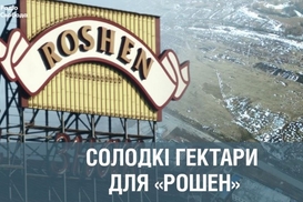 Roshen без конкурса получил участок под Борисполем - Схемы