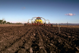 В агросекторе работают 30% нелегально работающих украинцев