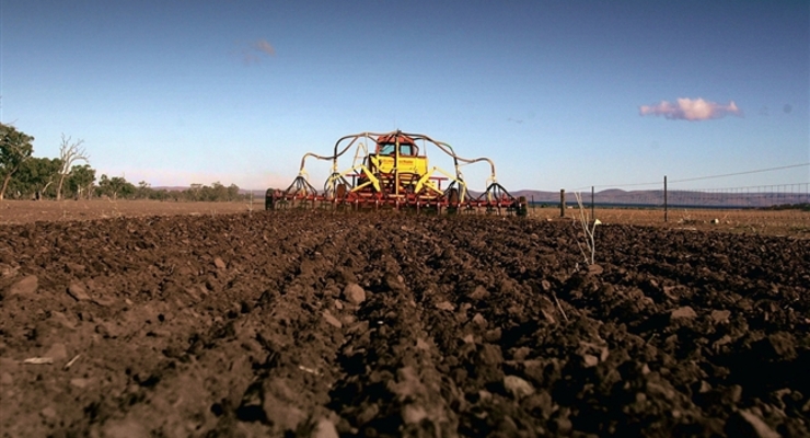 В агросекторе работают 30% нелегально работающих украинцев