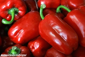 Россия может расширить список запрещенных турецких продуктов