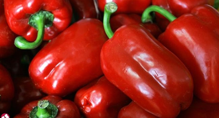 Россия может расширить список запрещенных турецких продуктов