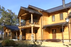 Один из особняков Януковича полностью разграбили