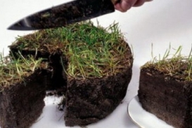 Миллион гектаров пиара: сколько земли можно продать в Украине