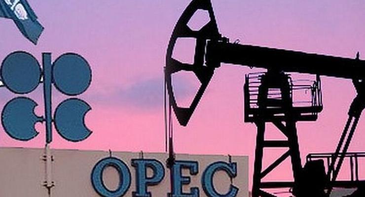 ОПЕК сможет сократить добычу нефти лишь к концу года - СМИ