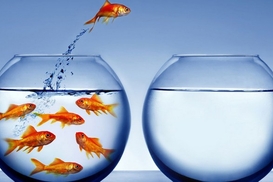 IT-выход: как гуманитарию попасть в компанию программистов