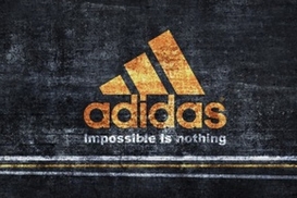 Adidas увеличил чистую прибыль на треть за 2015 год