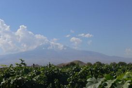 Что стоит посмотреть и попробовать в Армении