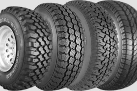 Что нужно знать при выборе зимней ризины для авто