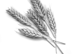 Почему не хватает валютных резервов?