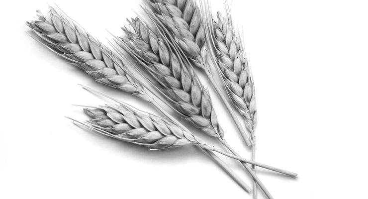 Почему не хватает валютных резервов?