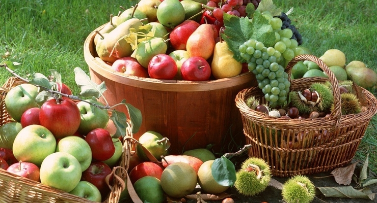 Доставка «чистой» еды