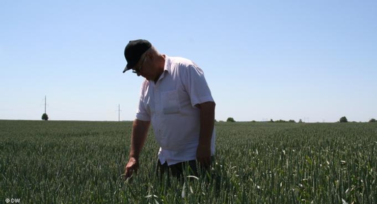 Как живется в Украине немецкому фермеру