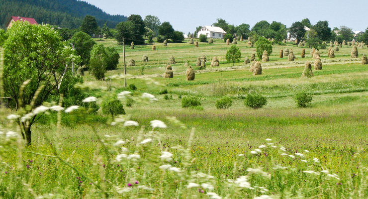 Где и за сколько можно отведать в Украине "зеленого" отдыха?