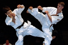 ЛЕВЧУК: «Я знаю как вывести украинское каратэ из кризиса»