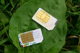 Как много говорящему абоненту выбрать оптимальный тарифный план