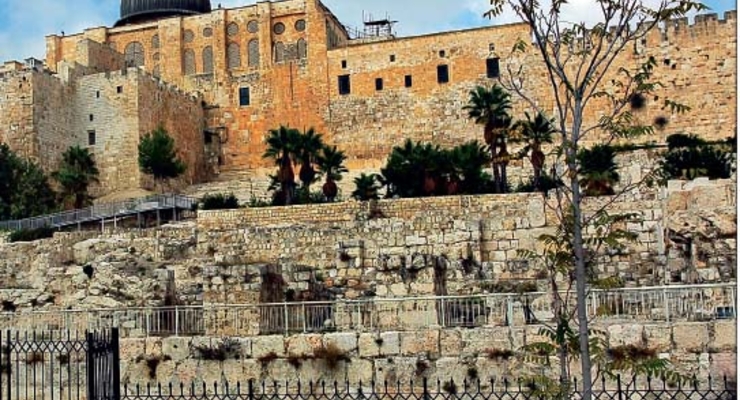 Куда и за сколько можно съездить в марте