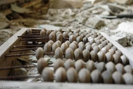 Хорошие программы для домашней бухгалтерии