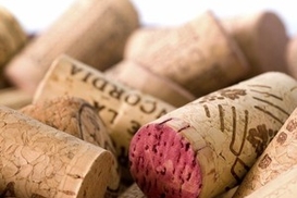 Какое вино выбрать к Новогоднему столу