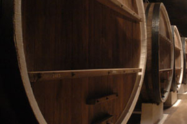 Дебют месяца - вино