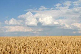 Куда стремятся цены на землю?