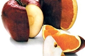 ГМО, электричка и Интернет