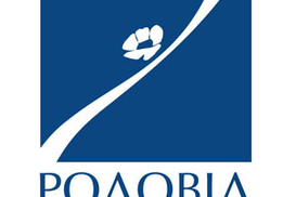 Что в банках?